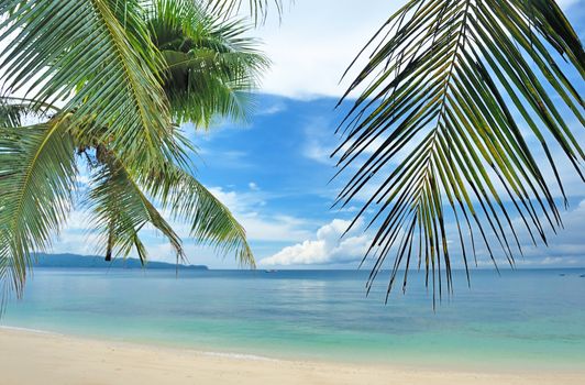 Beautiful beach with palm trees at Philippines