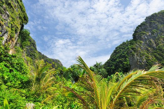 Beautiful tropical nature at  Phi Phi Ley island, the exact place where "The Beach" movie was filmed 
