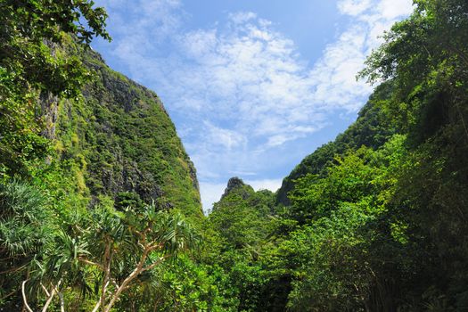 Beautiful tropical nature at  Phi Phi Ley island, the exact place where "The Beach" movie was filmed 