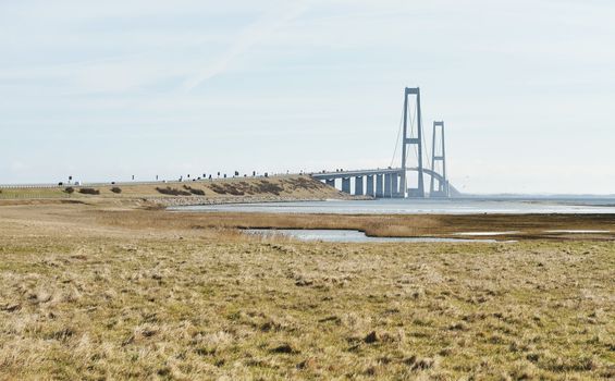 Landscape with bridge in Denmark