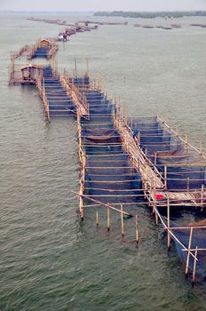 Fish farm thailand