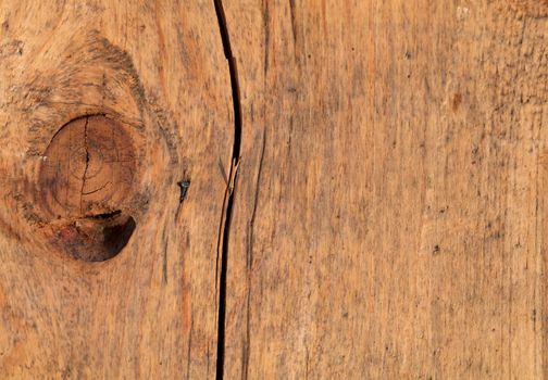 Natural Oak Wood Timber Knot closeup background