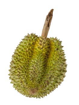 Durian fruits