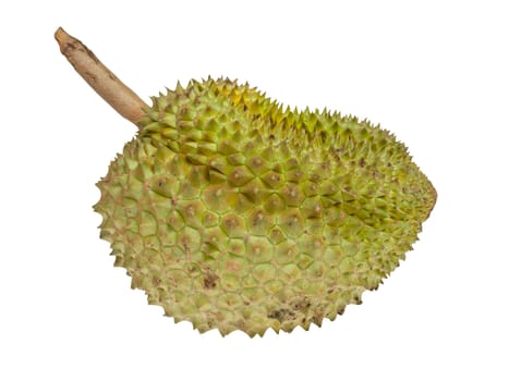 Durian fruits