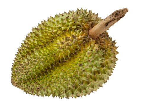 Durian fruits