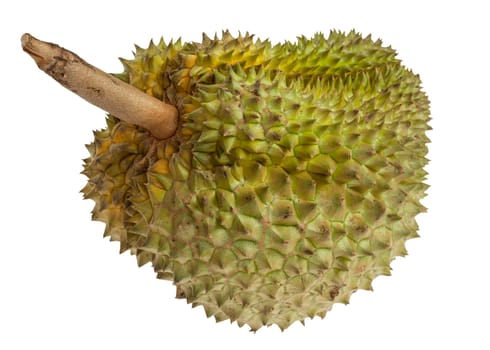 Durian fruits