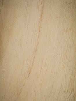 Texture of wood background closeup