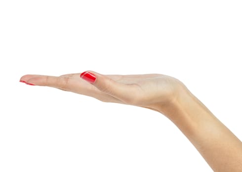 female woman hand holding isolated on white