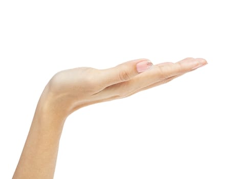 female woman hand holding isolated on white