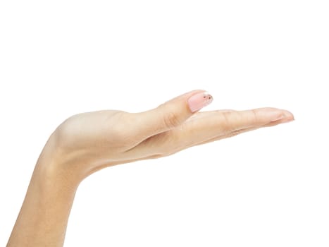 female woman hand holding isolated on white