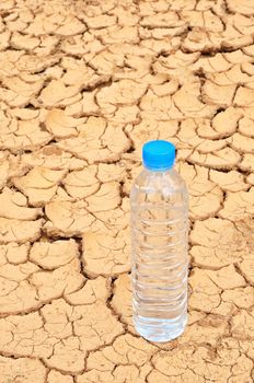 A water bottle on dry and cracked ground 
