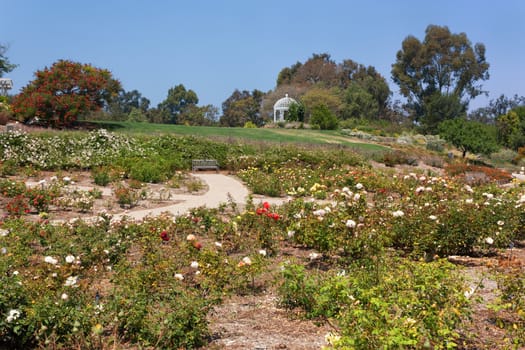 South Coast Botanic Garden in beautiful Palos Verdes Peninsula, California