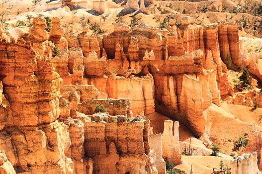 spectacular Hoodoo rock spires of Bryce Canyon, Utah, USA