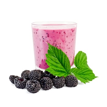 The glass of milkshake, berries and green twig blackberry isolated on white background