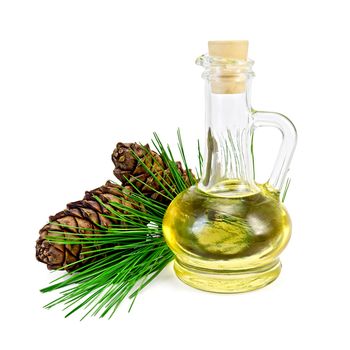 Cedar oil in a glass bottle, a sprig of cedar with two cones isolated on white background