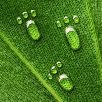 Beautiful water footprint drops on a leaf close-up