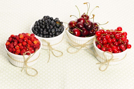 Wild berries in bowls - blueberry, redcurrant, cherry, strawberry