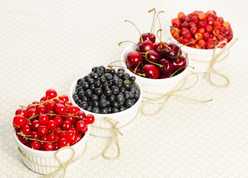Wild berries in bowls - blueberry, redcurrant, cherry, strawberry