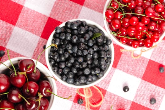 Wild berries in bowls - blueberry, redcurrant, cherry