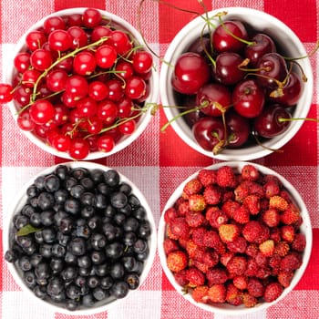 Wild berries in bowls - blueberry, redcurrant, cherry, strawberry