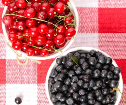 Wild berries in bowls - blueberry, redcurrant