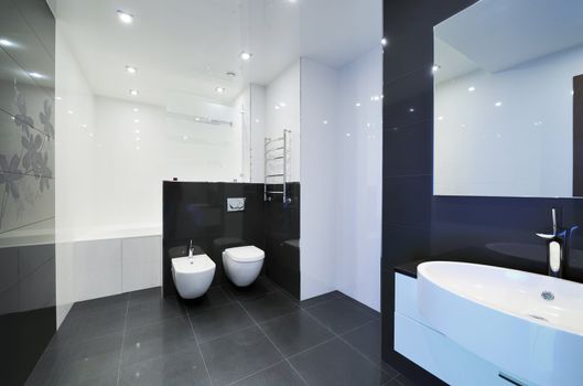 Modern luxury bathroom interior. No brandnames or copyright objects. 