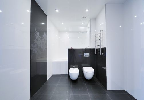Modern luxury bathroom interior. No brandnames or copyright objects. 