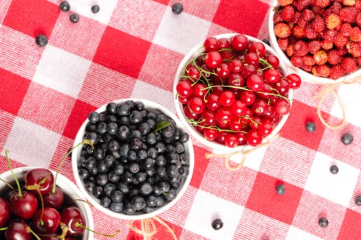 Wild berries in bowls - blueberry, redcurrant, cherry, strawberry