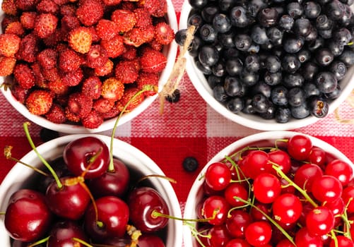Wild berries in bowls - blueberry, redcurrant, cherry, strawberry