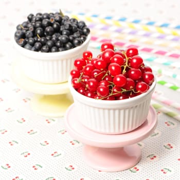 Wild berries in bowls - blueberry, redcurrant