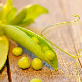 Fresh green peas pods on a wooden table