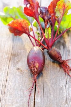 Beetroot with leafs on wooden table