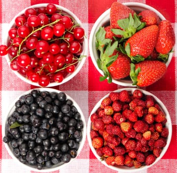 Wild berries in bowls - blueberry, redcurrant, strawberry