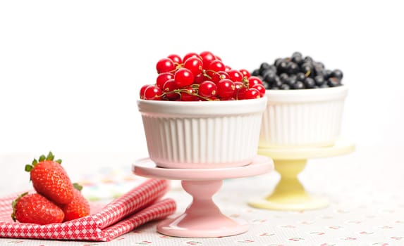 Wild berries in bowls - blueberry, redcurrant