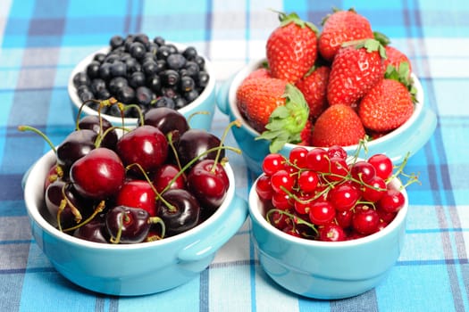 Wild berries in bowls - blueberry, redcurrant, cherry, strawberry