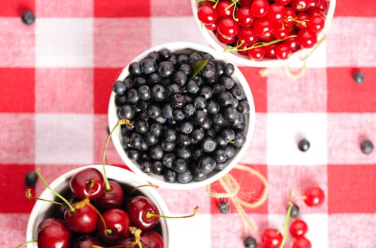 Wild berries in bowls - blueberry, redcurrant, cherry