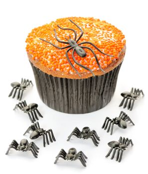 Halloween cupcake with decoration isolated on white