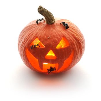 Halloween pumpkin Jack O'Lantern isolated on white