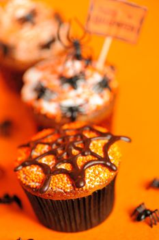 Halloween cupcakes with decoration over orange background