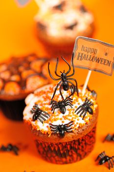 Halloween cupcakes with decoration over orange background