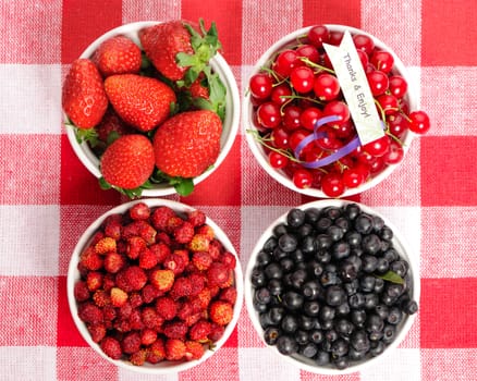 Wild berries in bowls - blueberry, redcurrant, strawberry