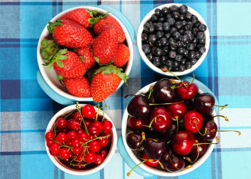 Wild berries in bowls - blueberry, redcurrant, cherry, strawberry
