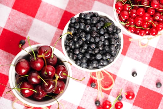 Wild berries in bowls - blueberry, redcurrant, cherry
