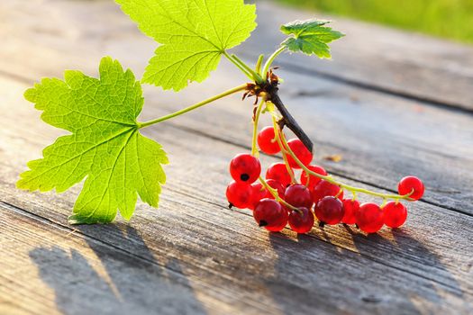 Redcurrant with leafs on wooden table