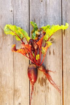 Beetroot with leafs on wooden table