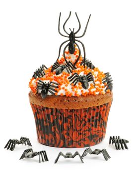 Halloween cupcake with decoration isolated on white