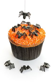 Halloween cupcake with decoration isolated on white