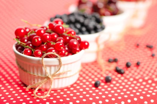 Wild berries in bowls - blueberry, redcurrant, cherry, strawberry
