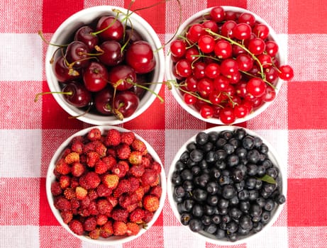 Wild berries in bowls - blueberry, redcurrant, cherry, strawberry