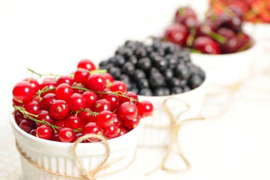 Wild berries in bowls - blueberry, redcurrant, cherry, strawberry